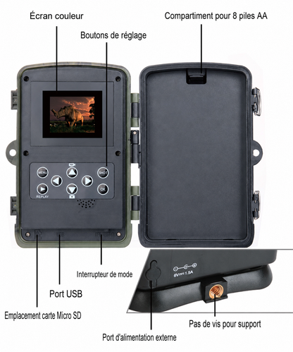 Caméra de Chasse avec Écran LCD Intégré & Vision Nocturne Infrarouge