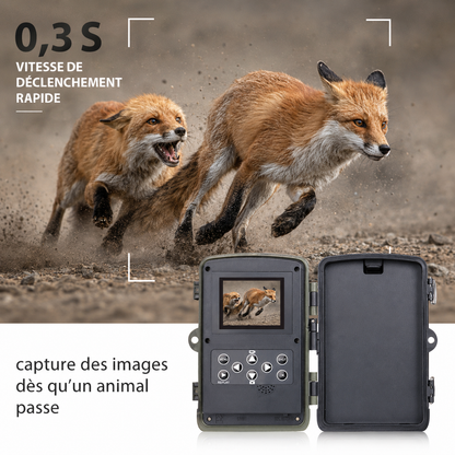 Caméra de Chasse avec Écran LCD Intégré & Vision Nocturne Infrarouge