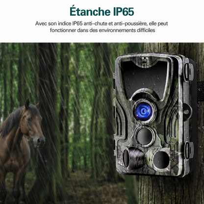 Caméra de Chasse avec Écran LCD Intégré & Vision Nocturne Infrarouge