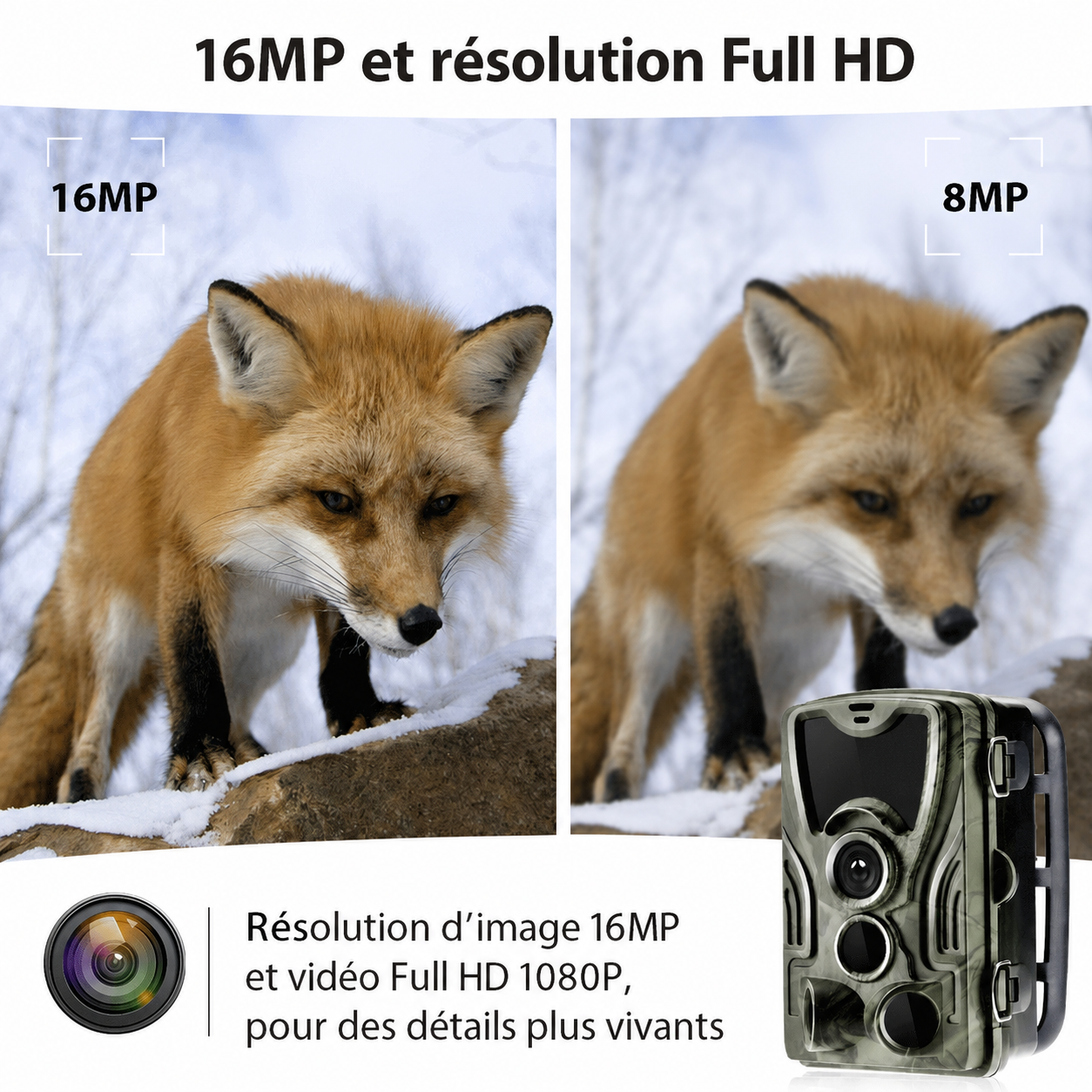 Caméra de Chasse avec Écran LCD Intégré & Vision Nocturne Infrarouge