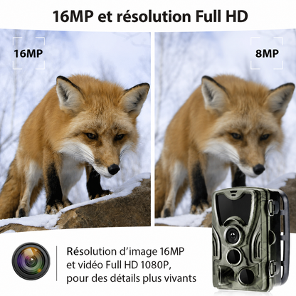 Caméra de Chasse avec Écran LCD Intégré & Vision Nocturne Infrarouge